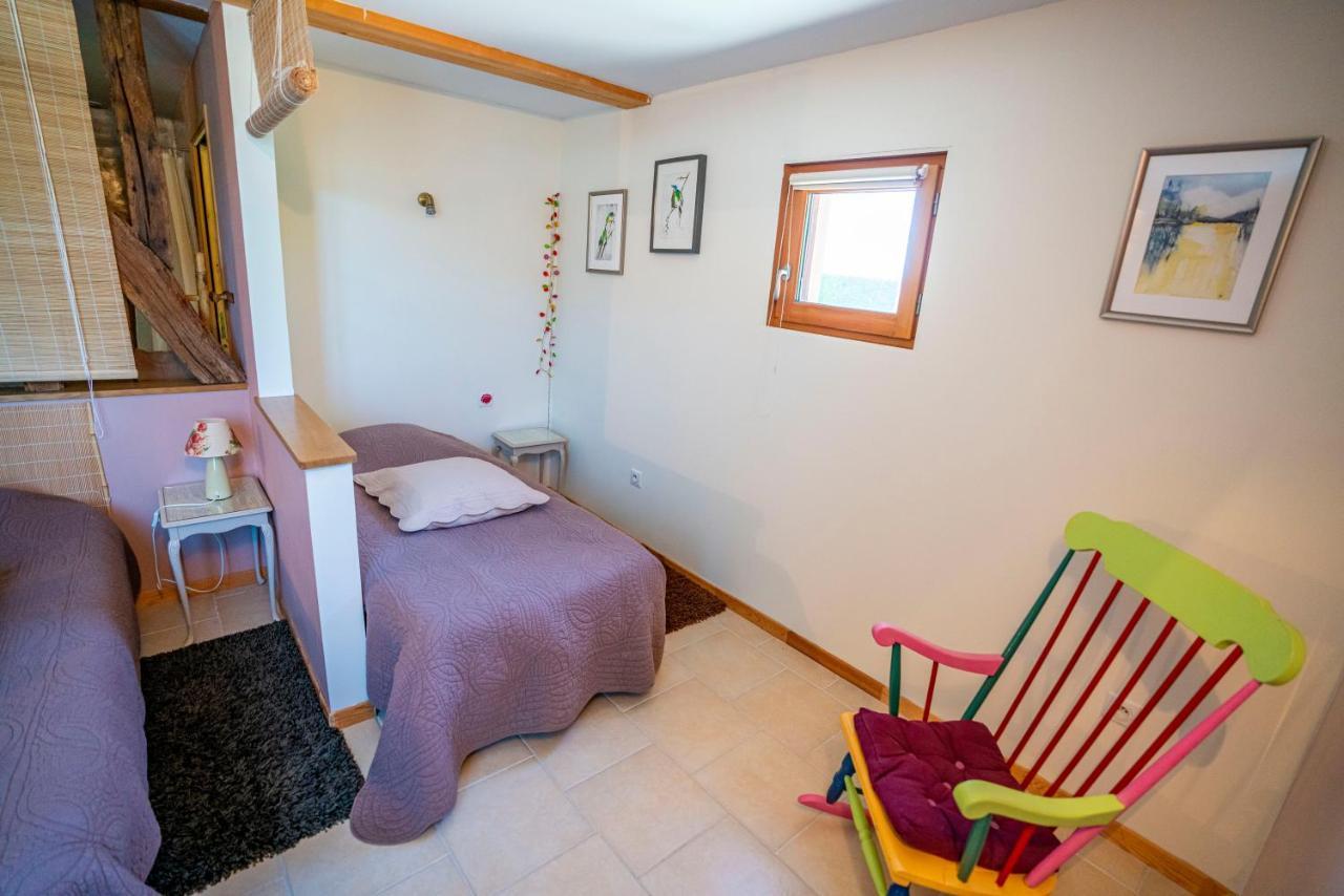 Chambre D'Hotes - Le Jardin Des Patissons La Foret Du Parc Luaran gambar
