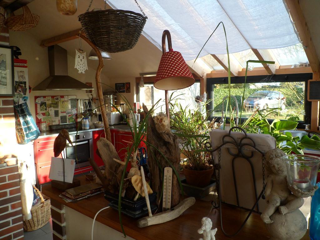 Chambre D'Hotes - Le Jardin Des Patissons La Foret Du Parc Luaran gambar